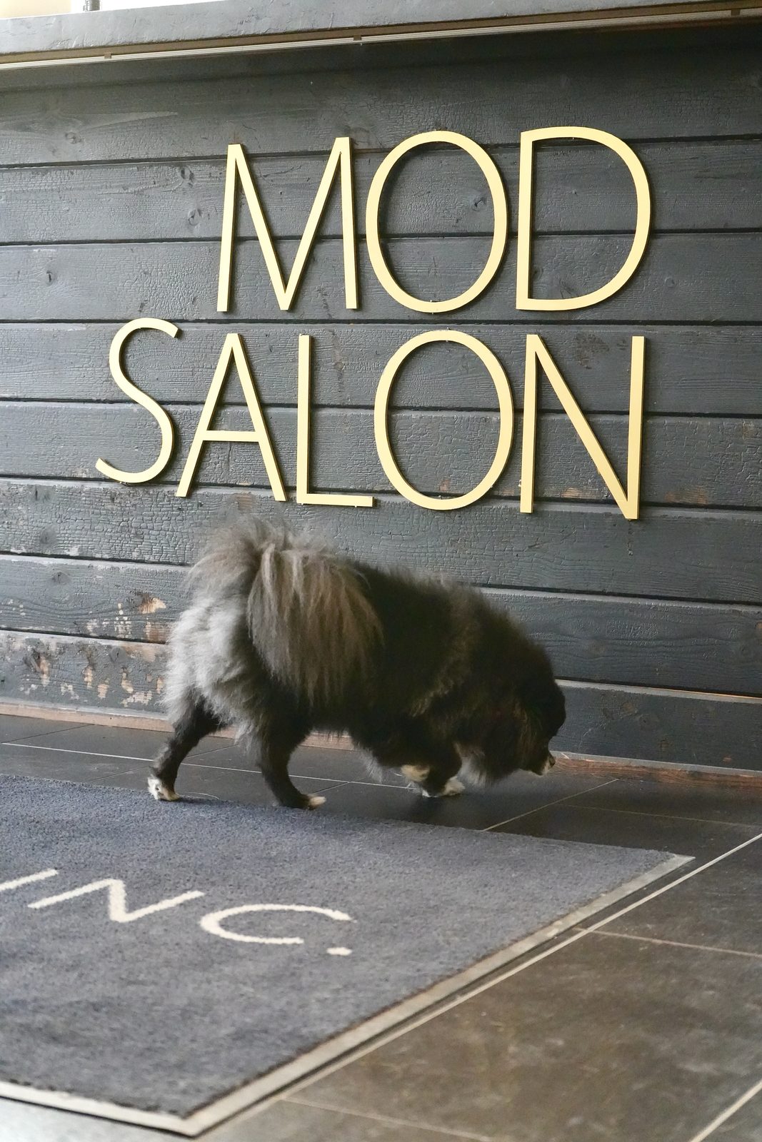Close-up of the MOD Salon signage